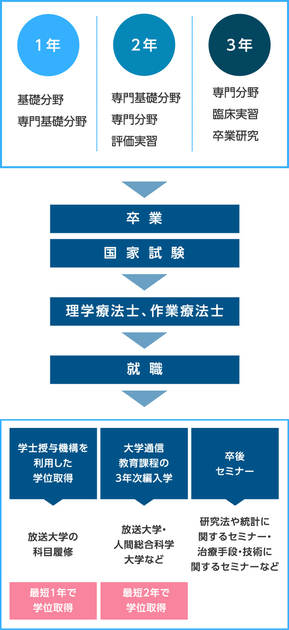 就職・資格情報